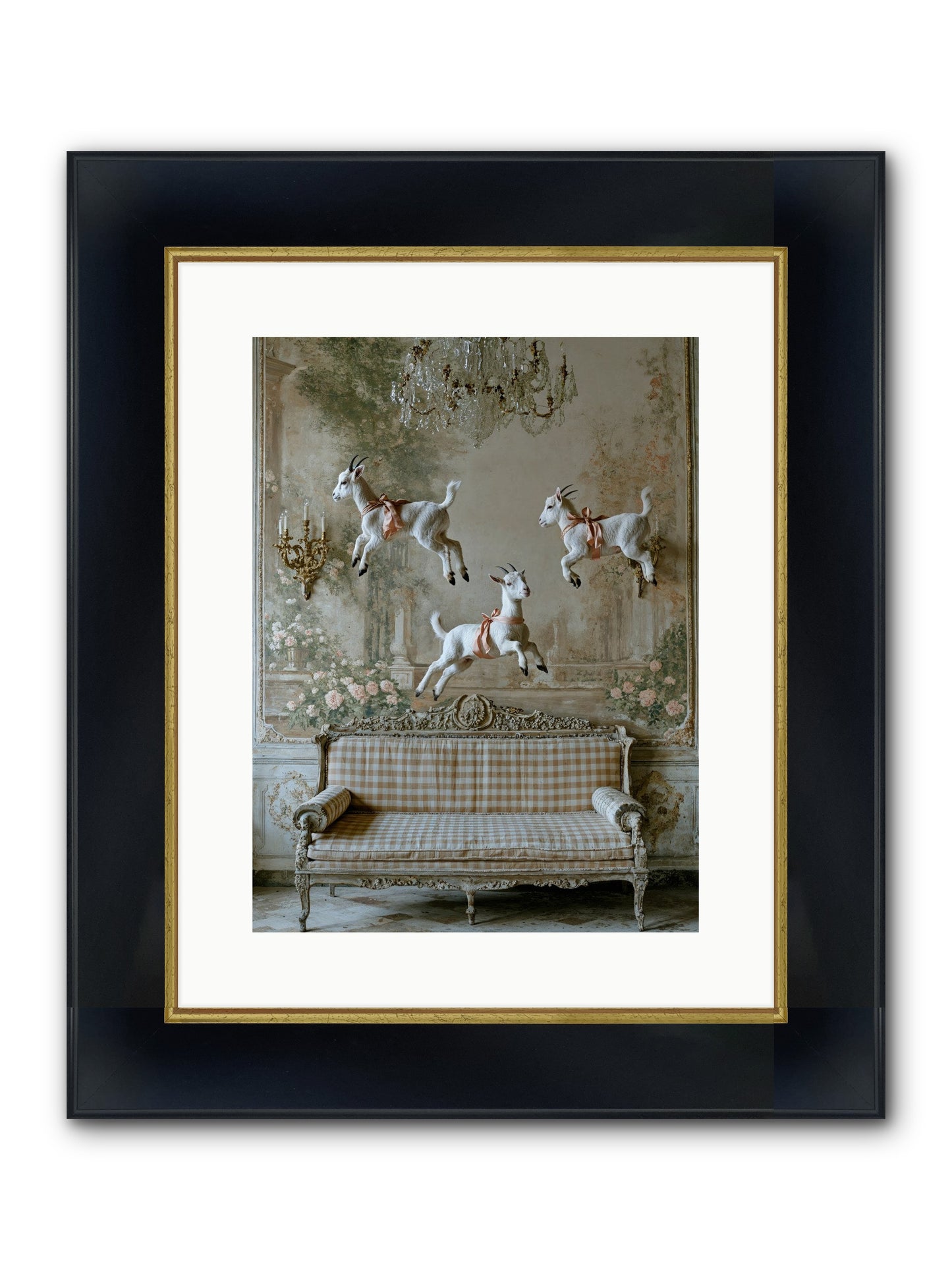 Dance Of Wild Hearts Framed Print - Wide Black w/Gold 12x16