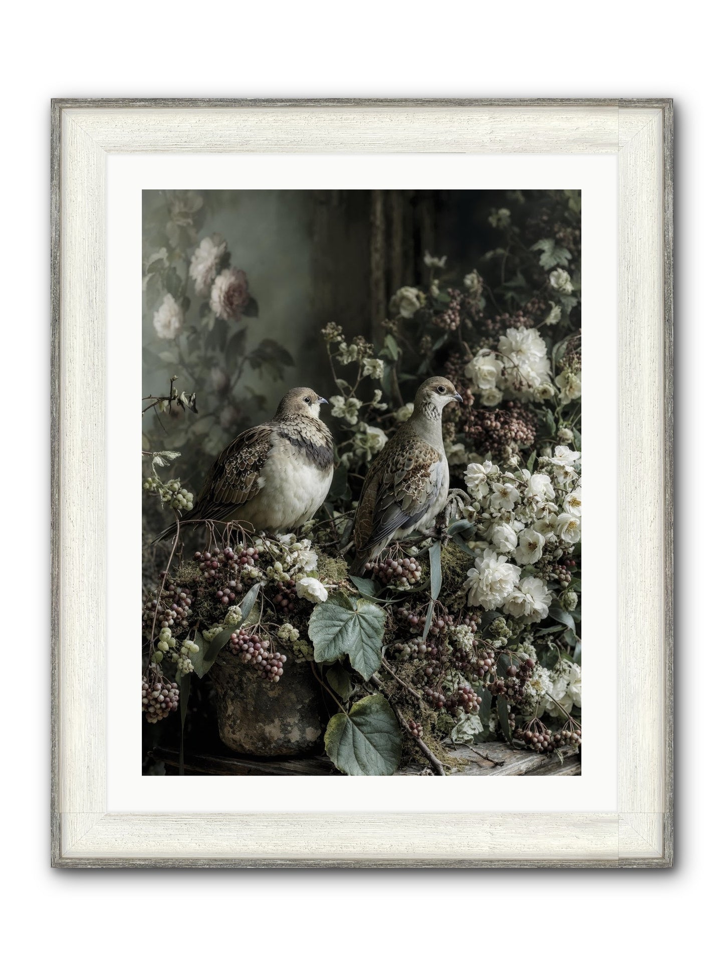 Edelweiss Framed Print - Driftwood White 24x32