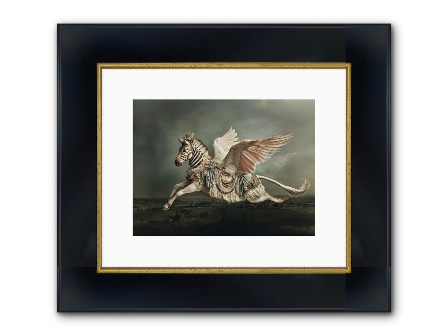 Field Guide To Heartlight No.1 Framed Print - Wide Black w/Gold 12x9