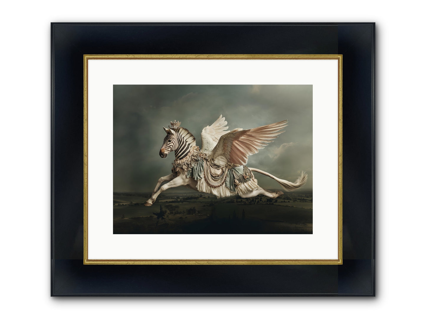 Field Guide To Heartlight No.1 Framed Print - Wide Black w/Gold 16x12