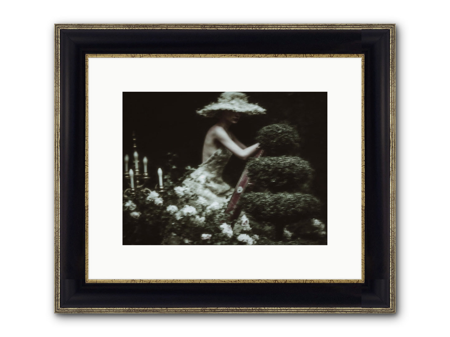 Garden Architecture Framed Print - Black & Gold 12x9