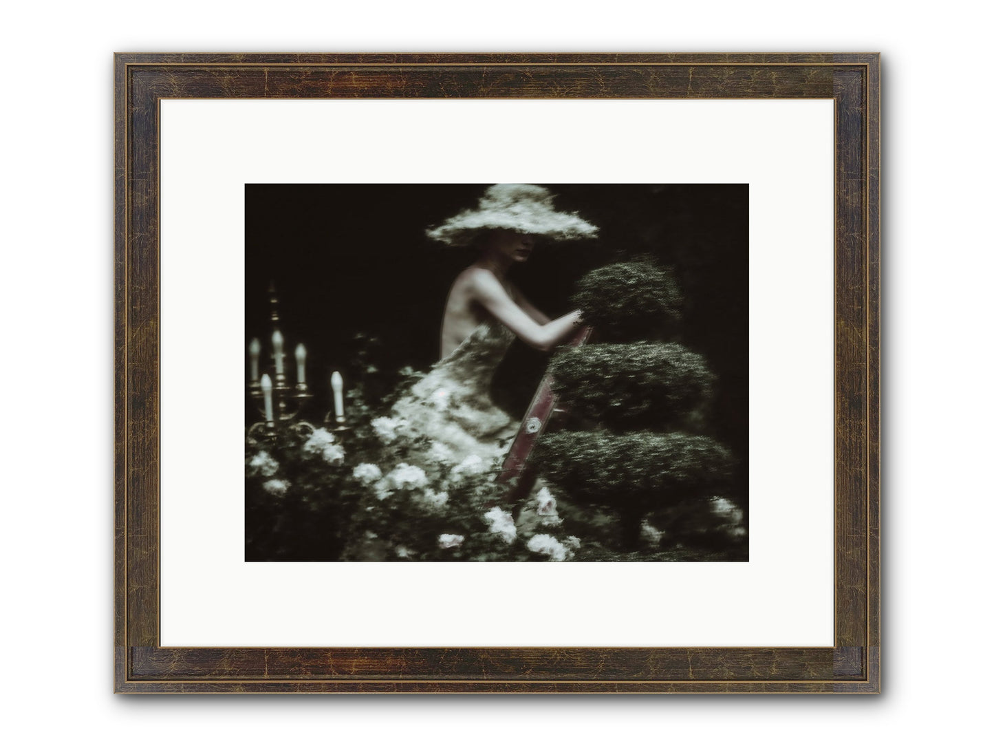 Garden Architecture Framed Print - Slimwoods Black/Gold 12x9