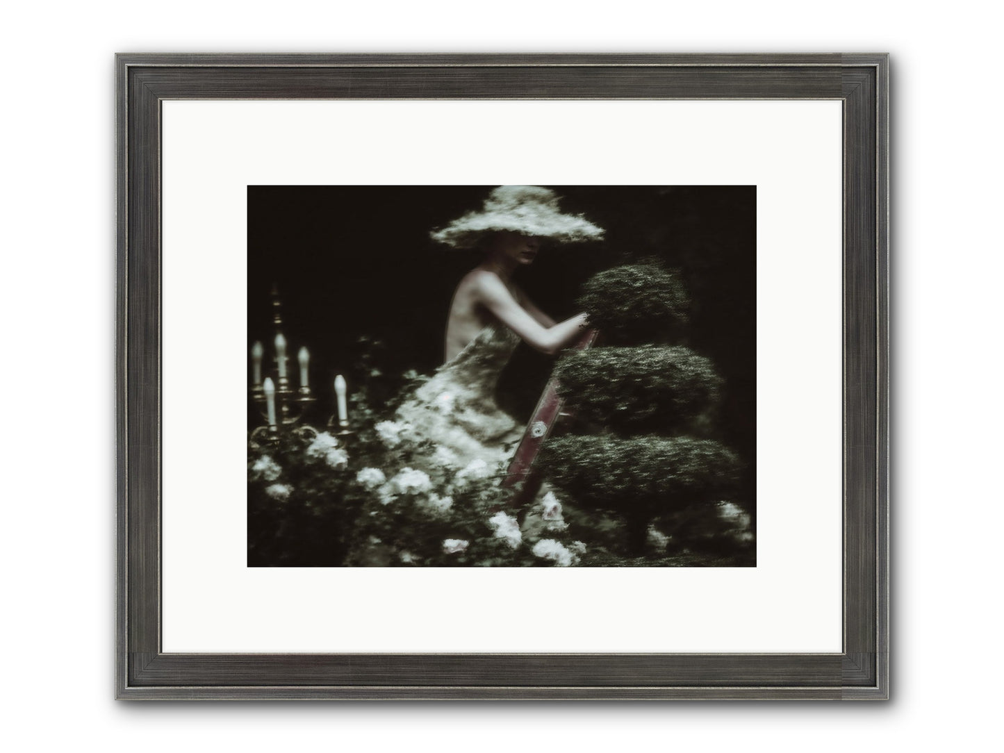 Garden Architecture Framed Print - Slimwoods Black/Silver 12x9