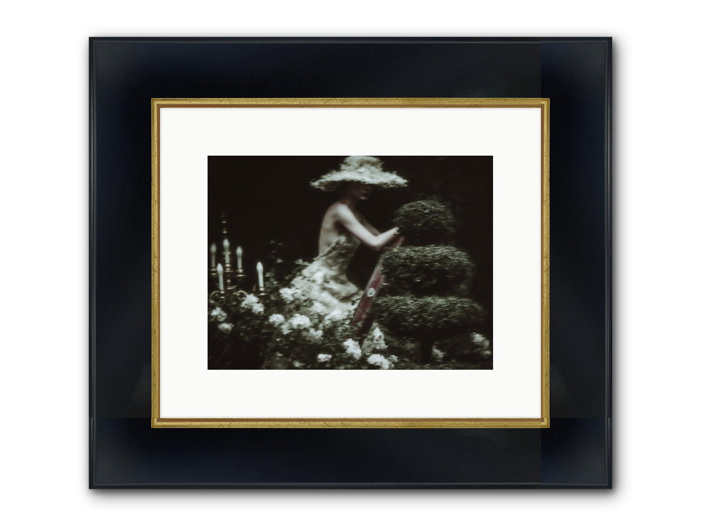 Garden Architecture Framed Print - Wide Black w/Gold 12x9