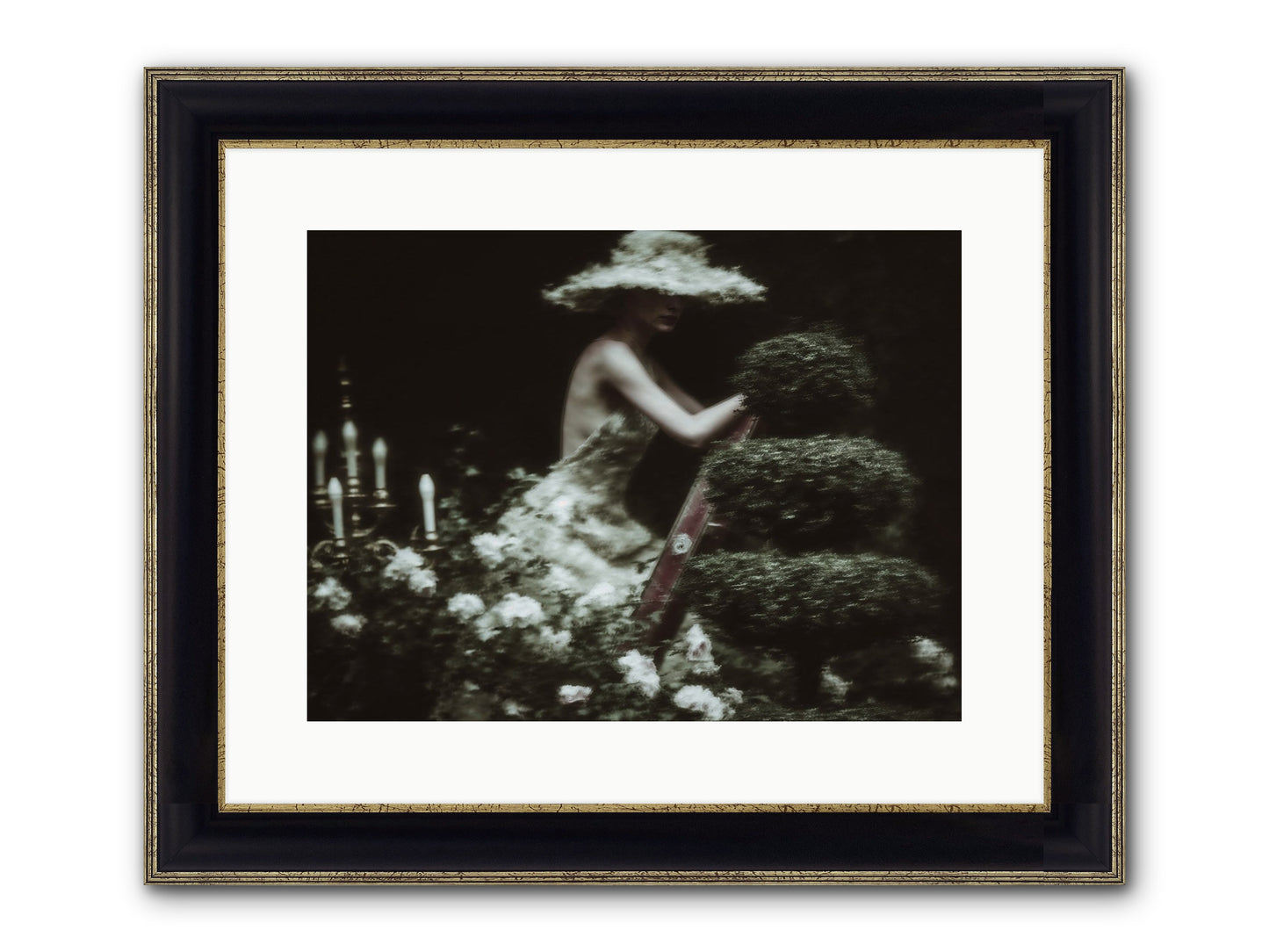 Garden Architecture Framed Print - Black & Gold 16x12