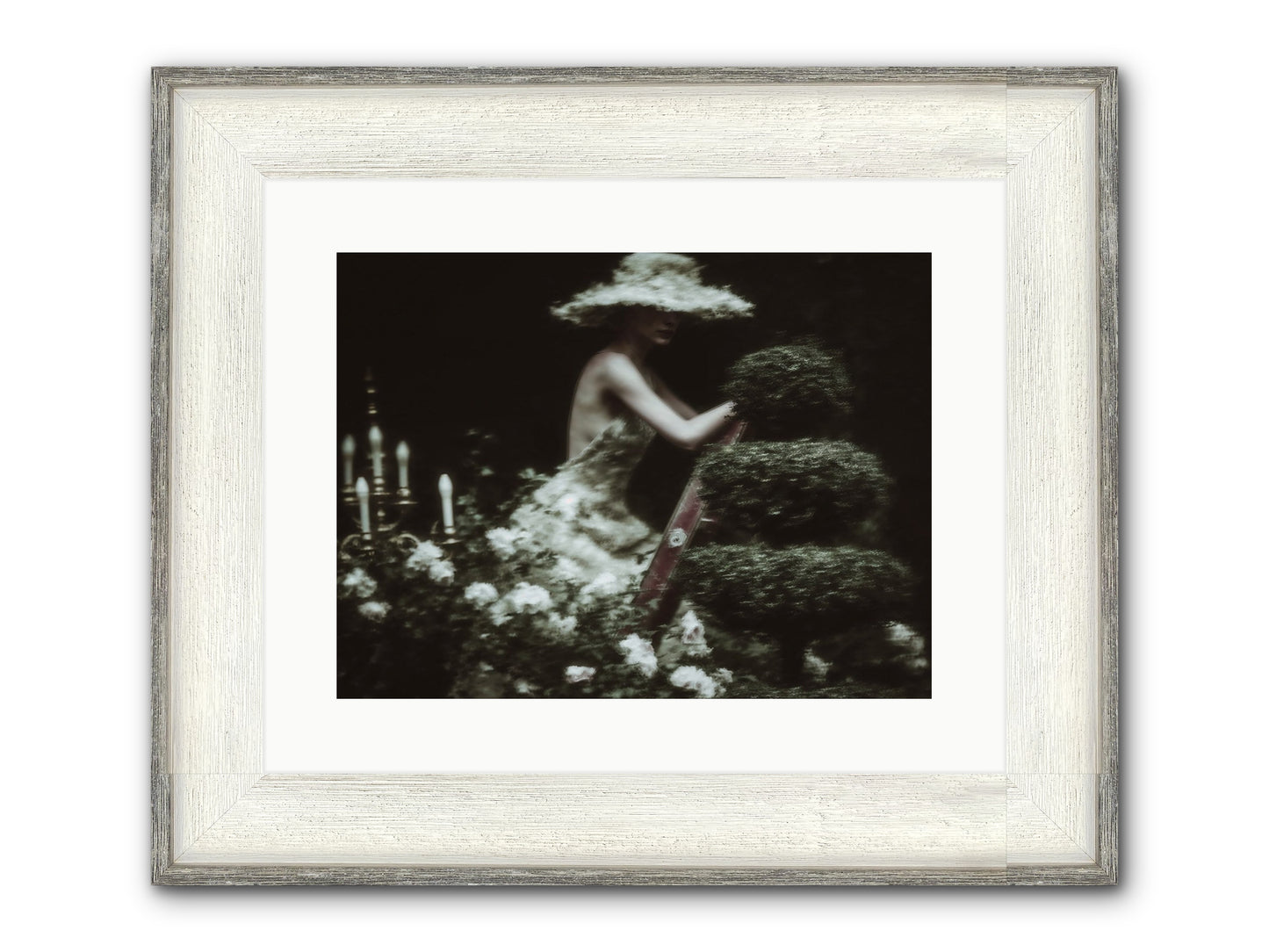 Garden Architecture Framed Print - Driftwood White 16x12