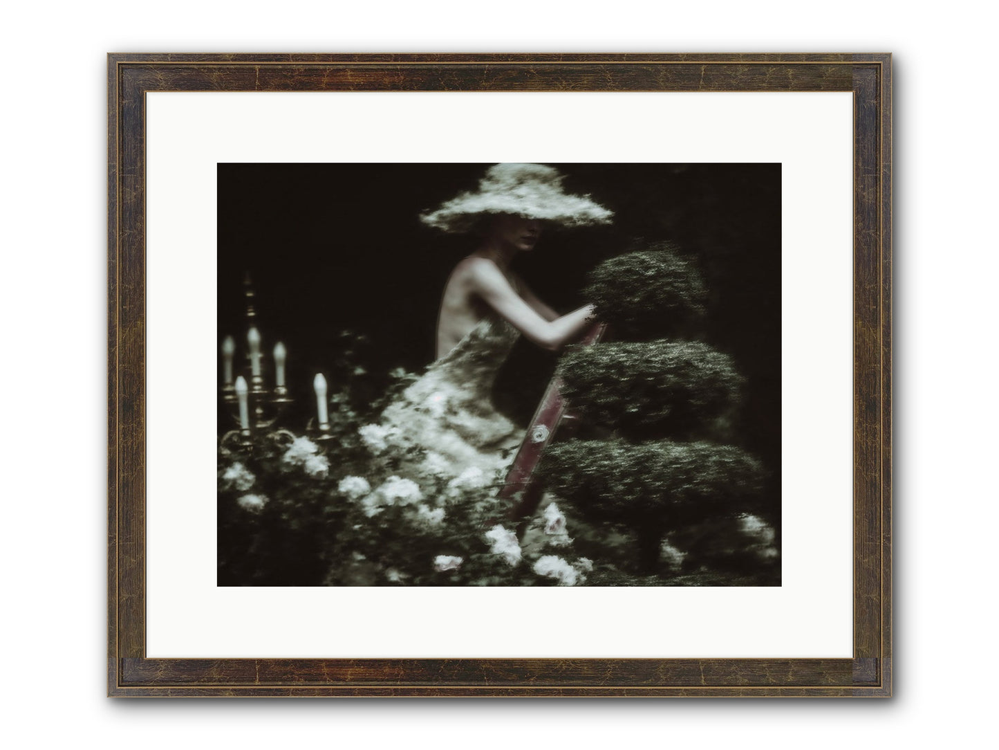 Garden Architecture Framed Print - Slimwoods Black/Gold 16x12