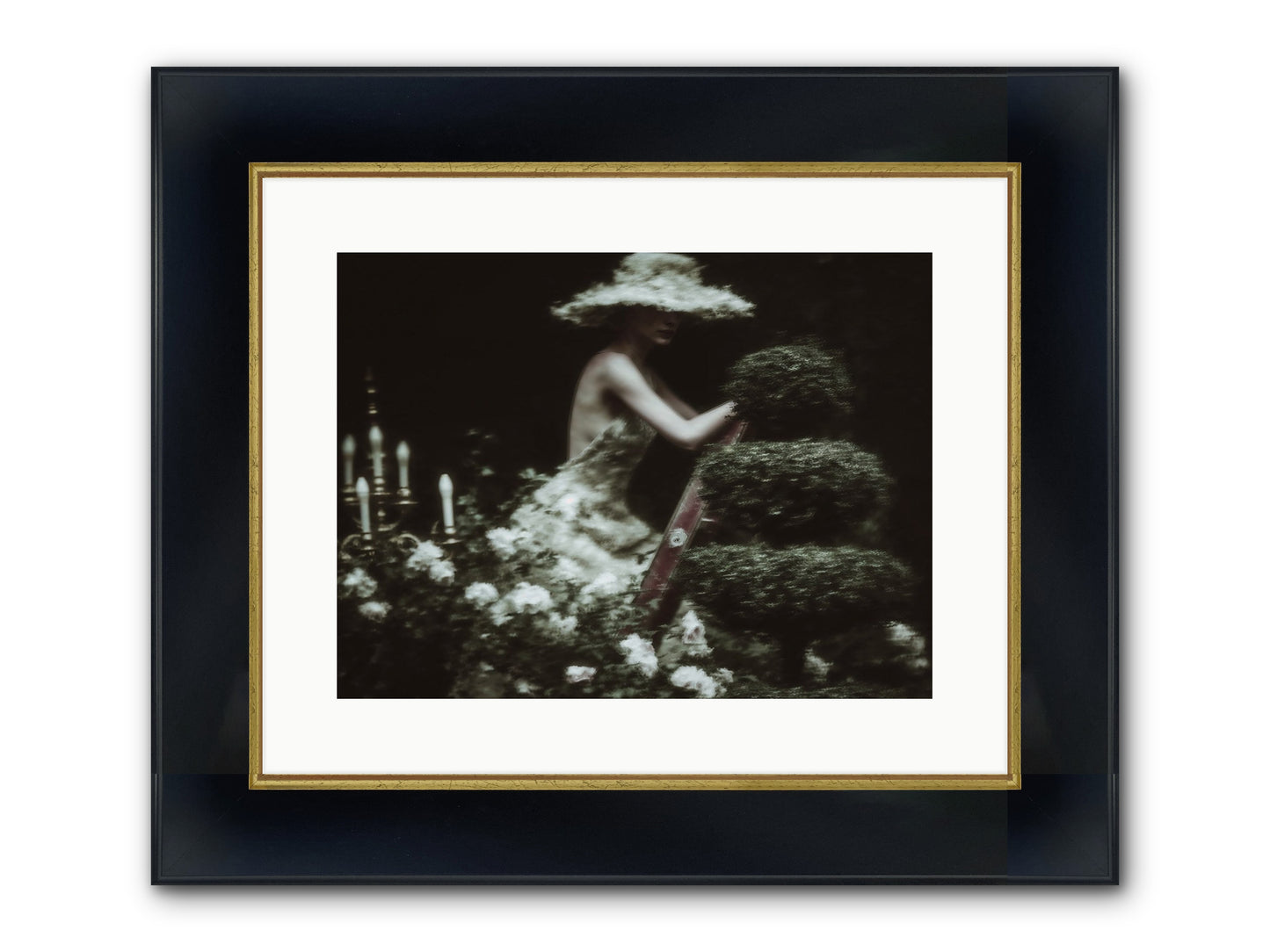 Garden Architecture Framed Print - Wide Black w/Gold 16x12