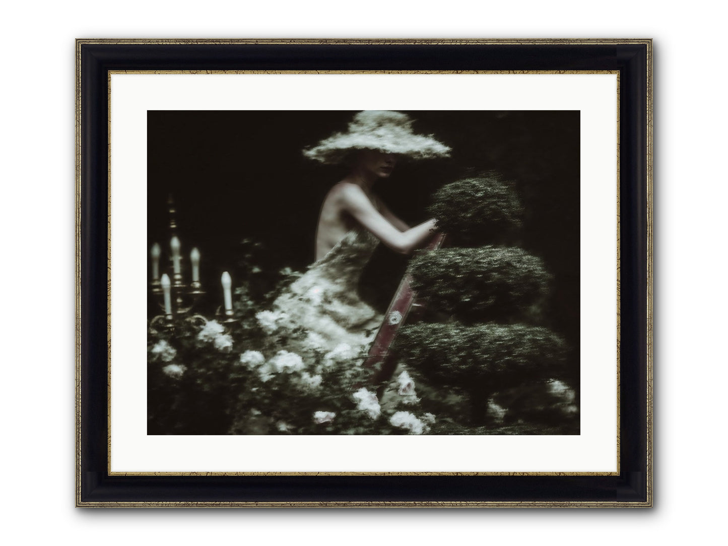 Garden Architecture Framed Print - Black & Gold 24x18