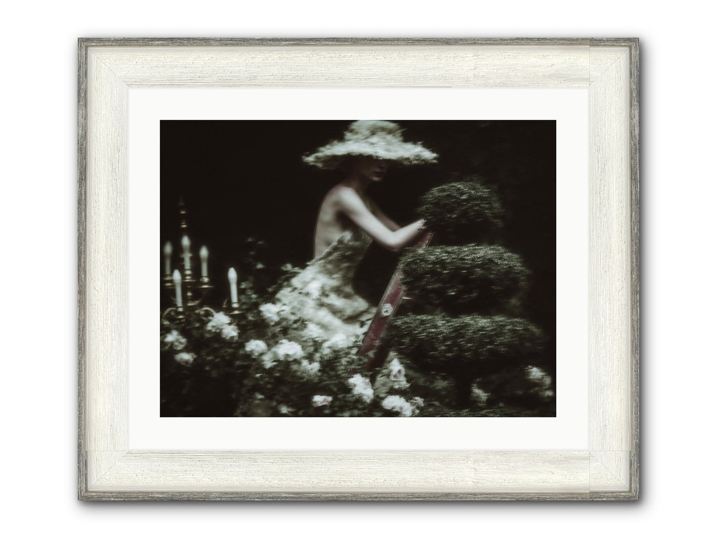 Garden Architecture Framed Print - Driftwood White 24x18