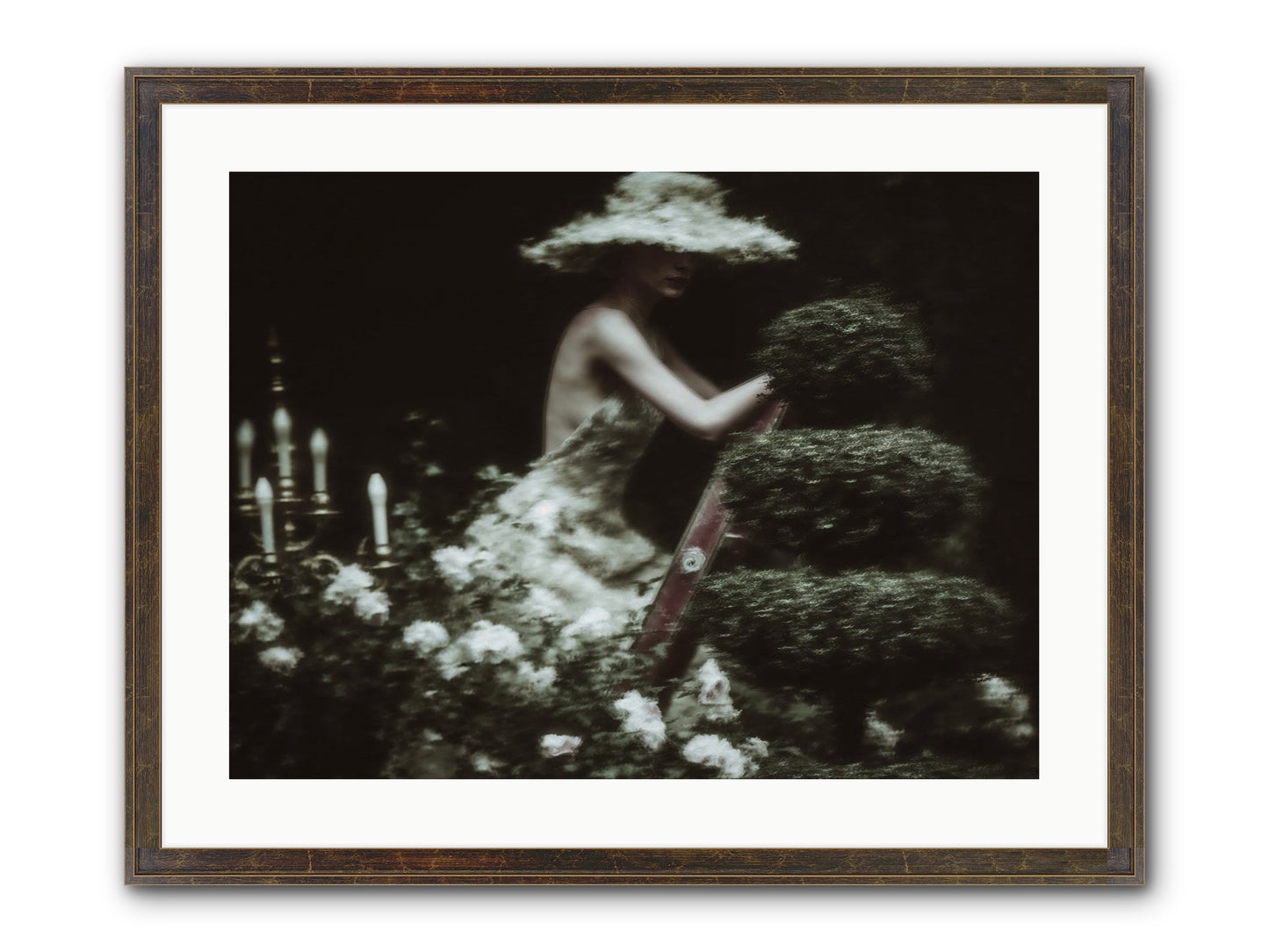 Garden Architecture Framed Print - Slimwoods Black/Gold 24x18