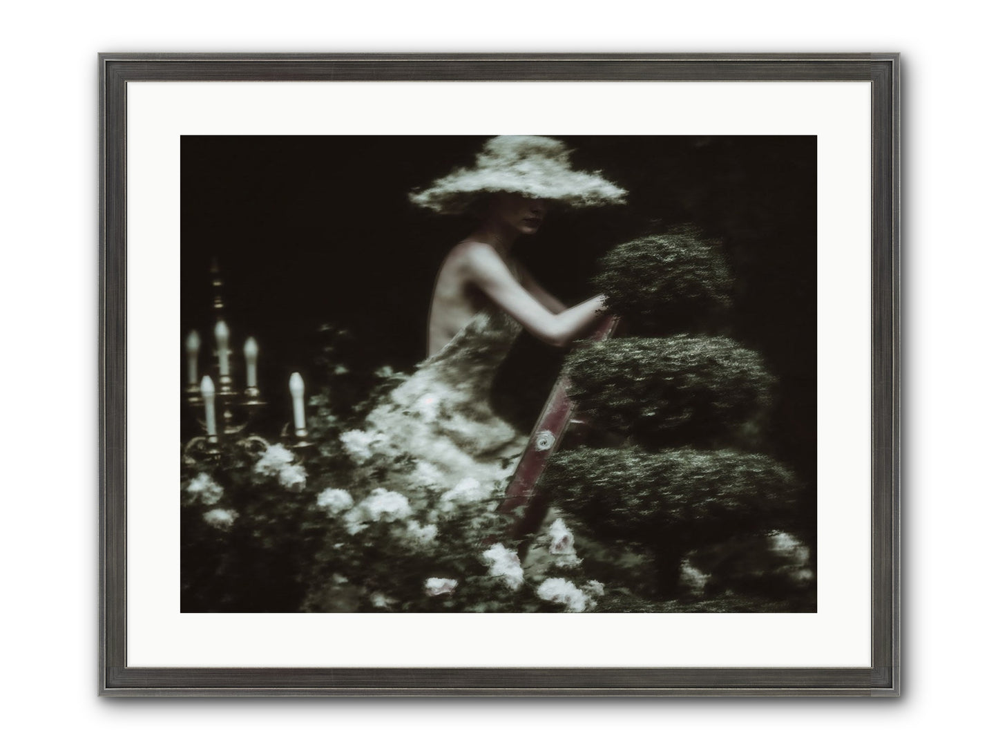 Garden Architecture Framed Print - Slimwoods Black/Silver 24x18