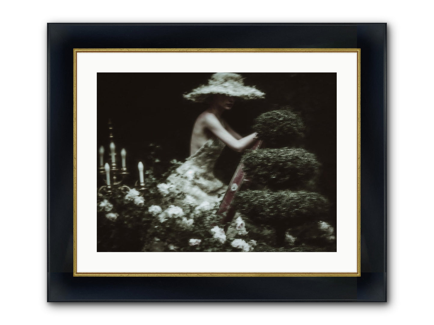 Garden Architecture Framed Print - Wide Black w/Gold 24x18