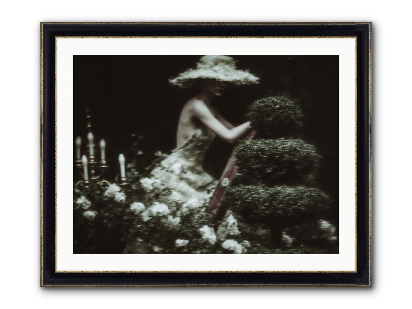 Garden Architecture Framed Print - Black & Gold 32x24