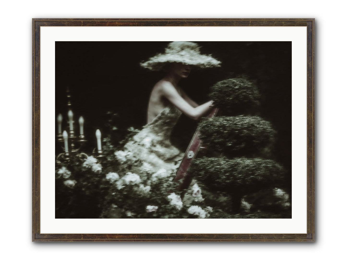 Garden Architecture Framed Print - Slimwoods Black/Gold 32x24