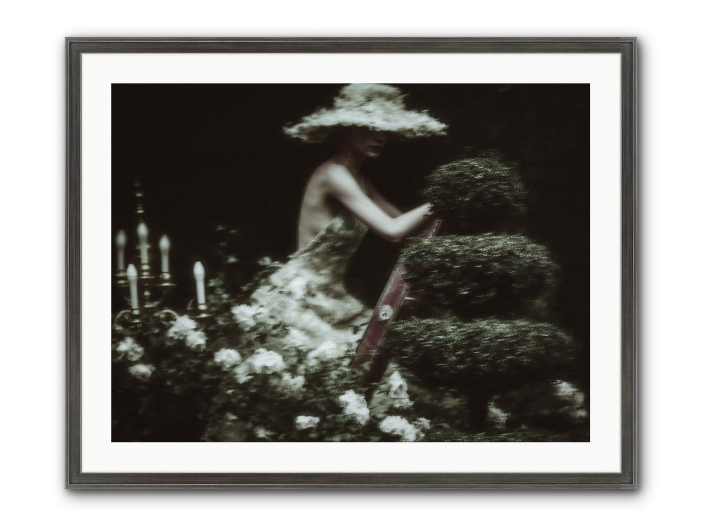 Garden Architecture Framed Print - Slimwoods Black/Silver 32x24