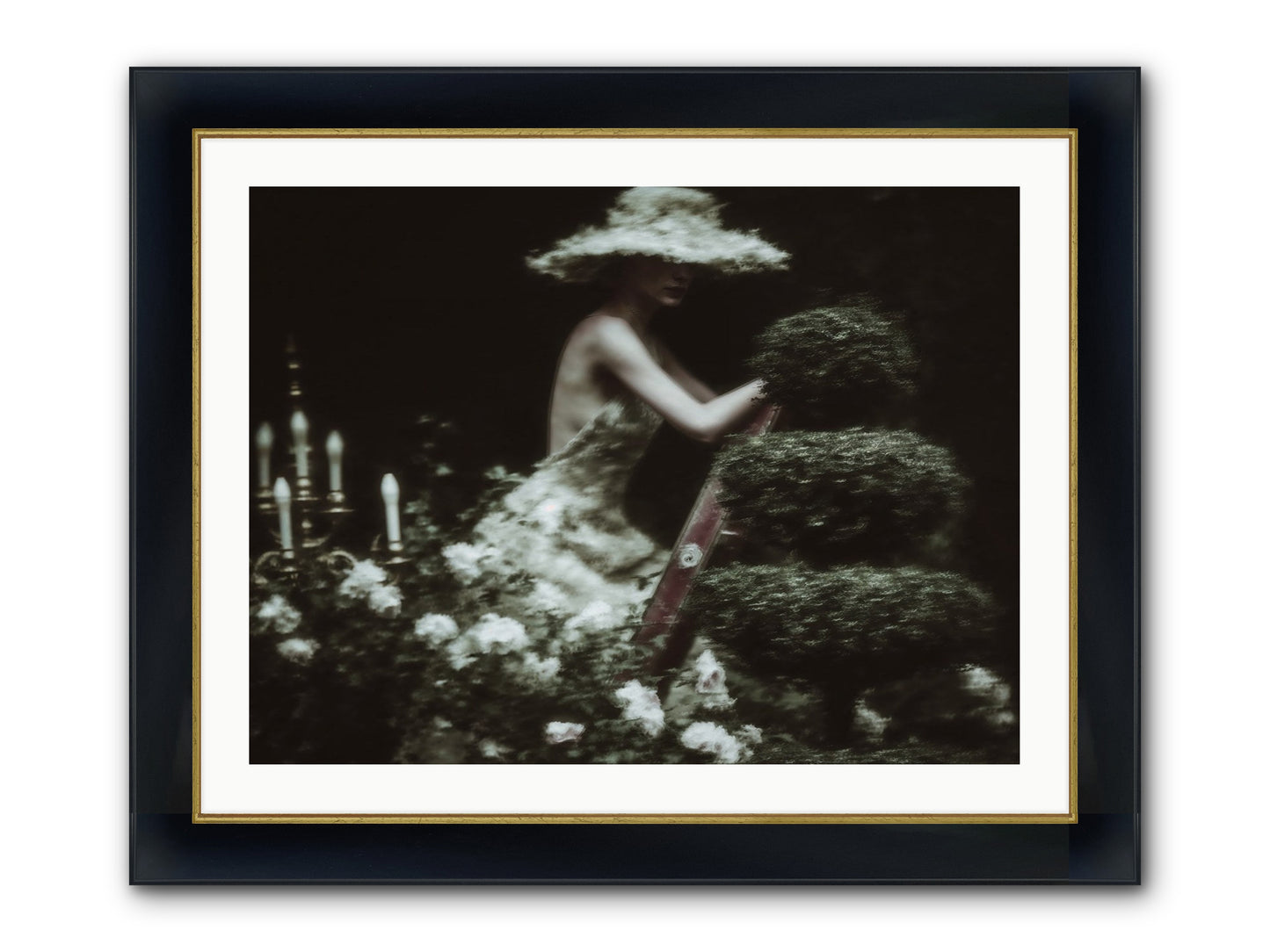 Garden Architecture Framed Print - Wide Black w/Gold 32x24