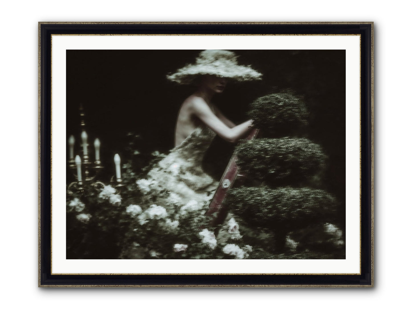 Garden Architecture Framed Print - Black & Gold 40x30