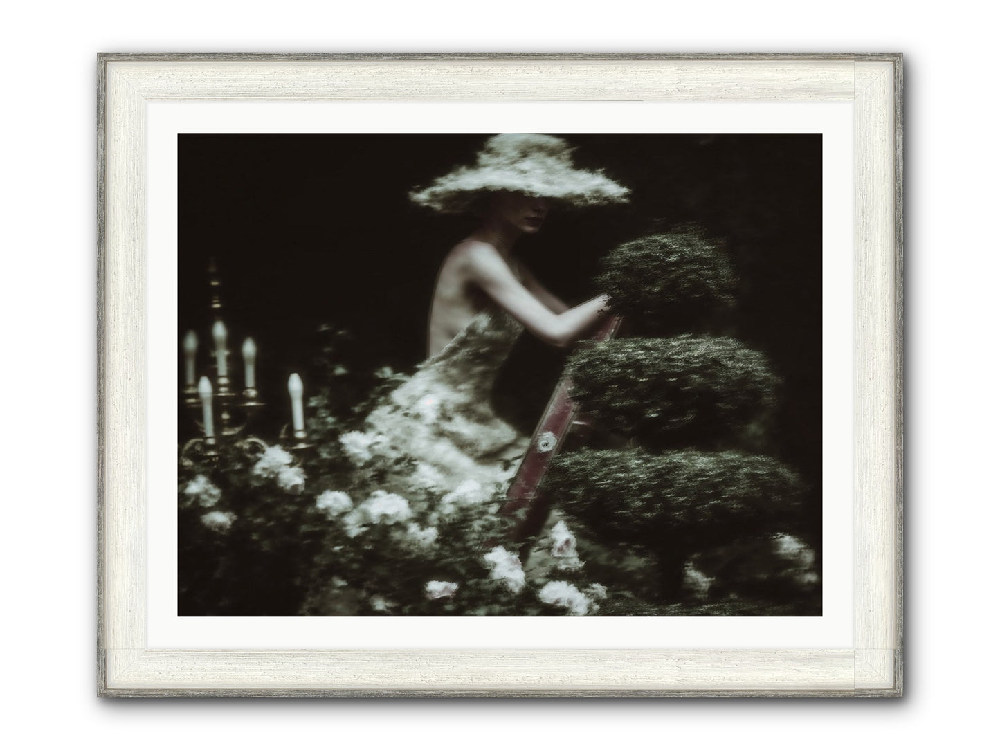 Garden Architecture Framed Print - Driftwood White 40x30