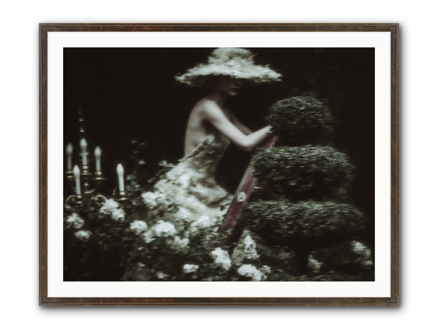 Garden Architecture Framed Print - Slimwoods Black/Gold 40x30