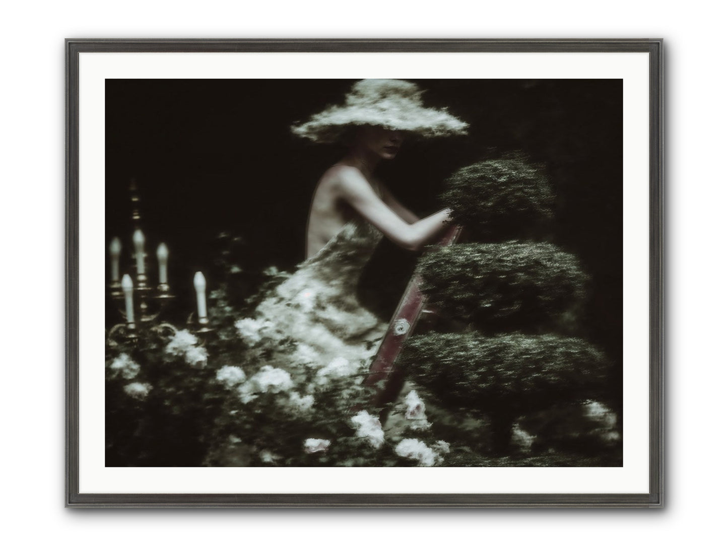 Garden Architecture Framed Print - Slimwoods Black/Silver 40x30
