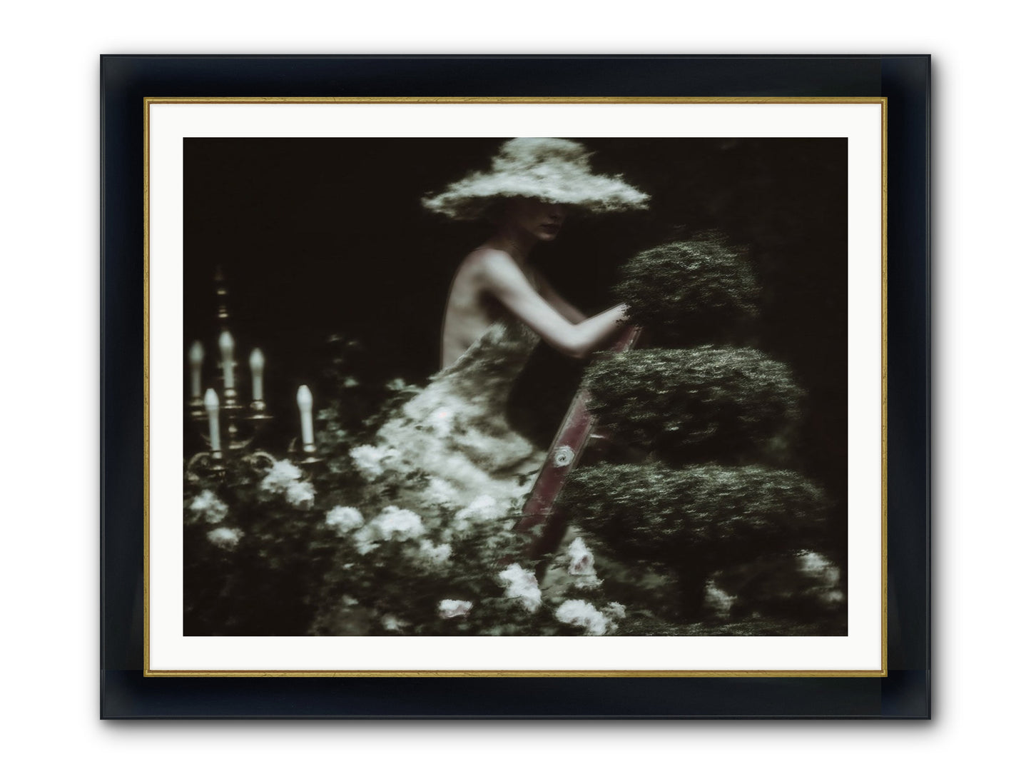 Garden Architecture Framed Print - Wide Black w/Gold 40x30