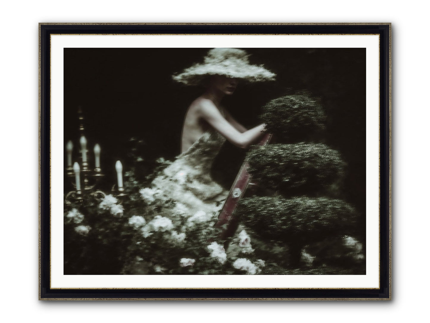 Garden Architecture Framed Print - Black & Gold 48x36