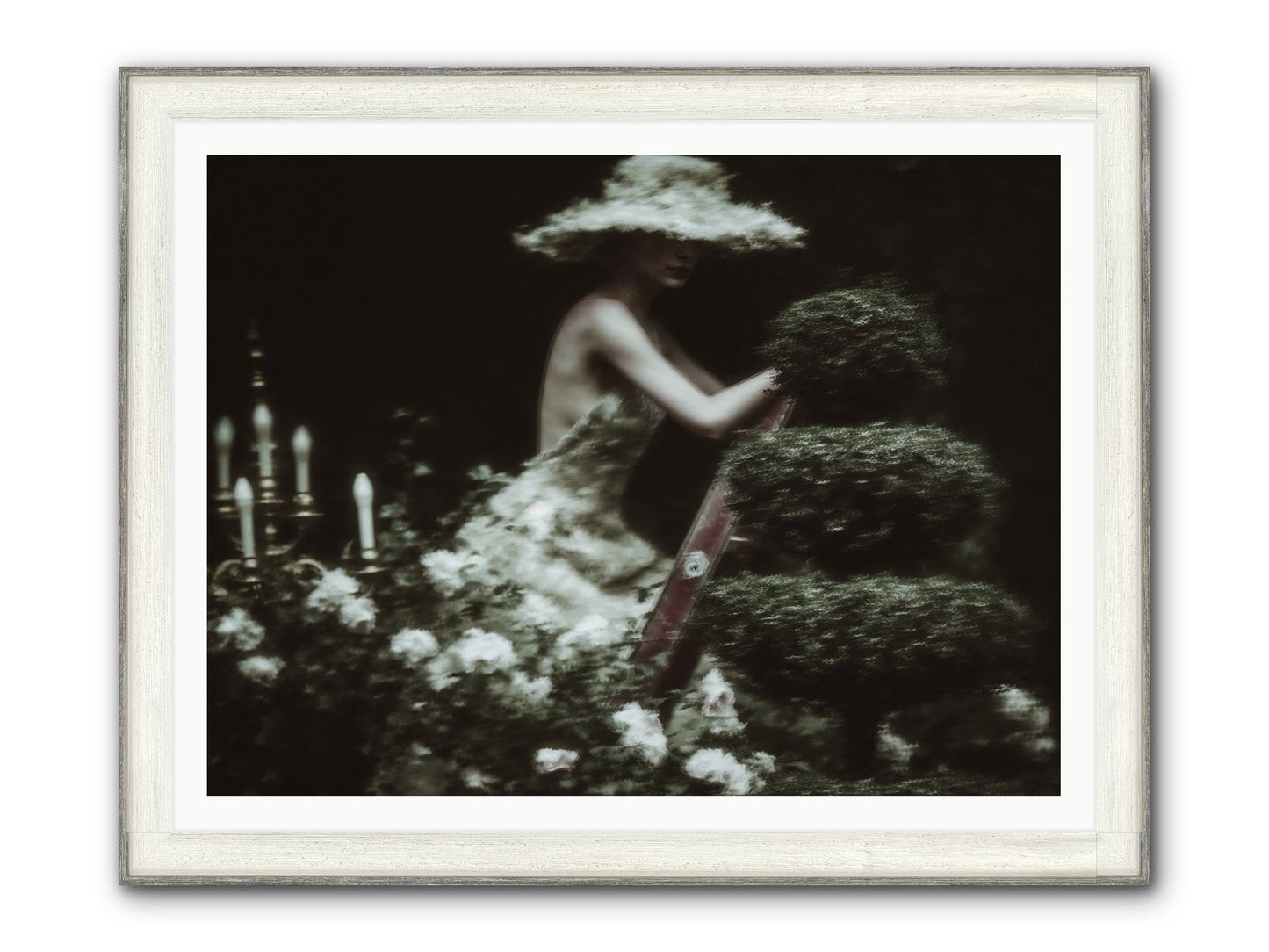 Garden Architecture Framed Print - Driftwood White 48x36