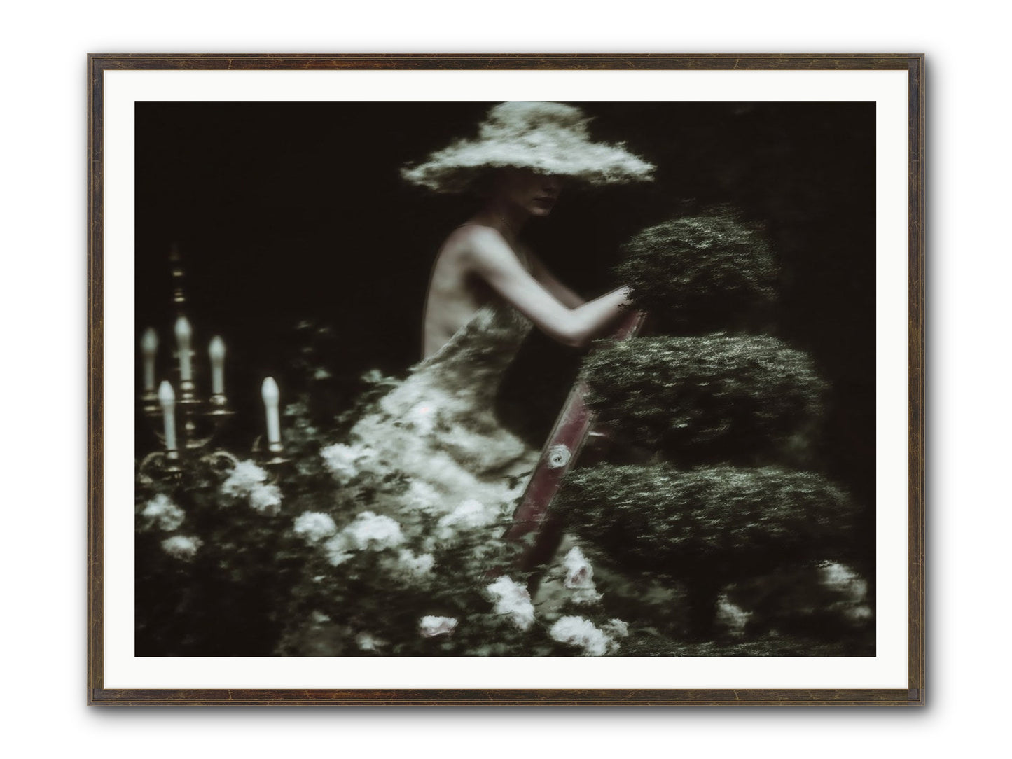 Garden Architecture Framed Print - Slimwoods Black/Gold 48x36