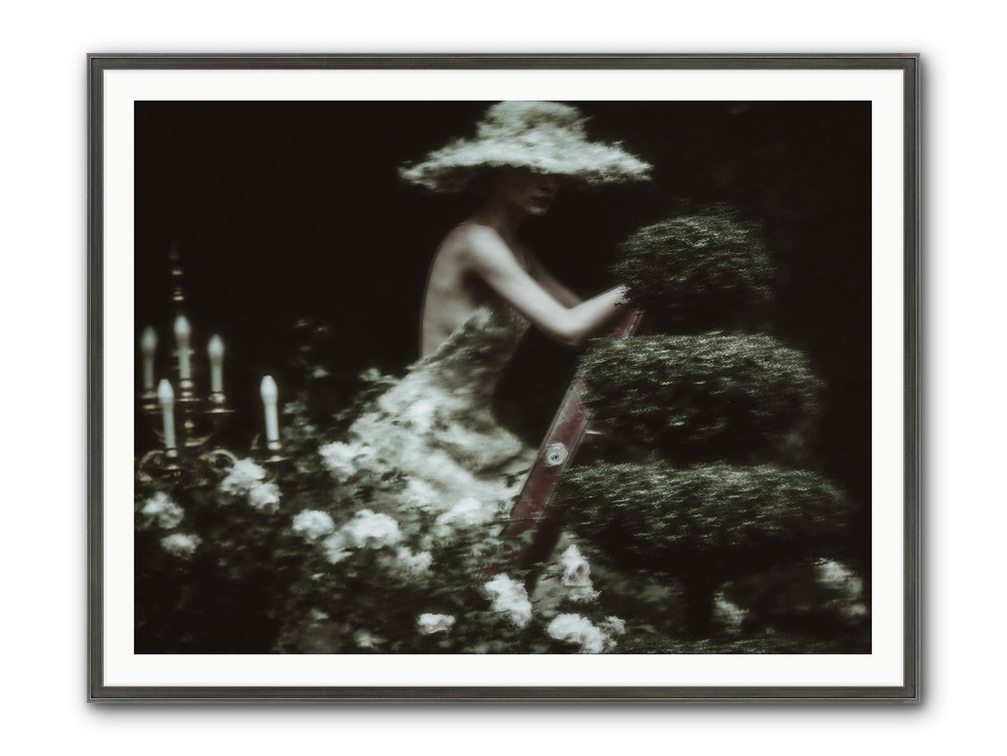 Garden Architecture Framed Print - Slimwoods Black/Silver 48x36