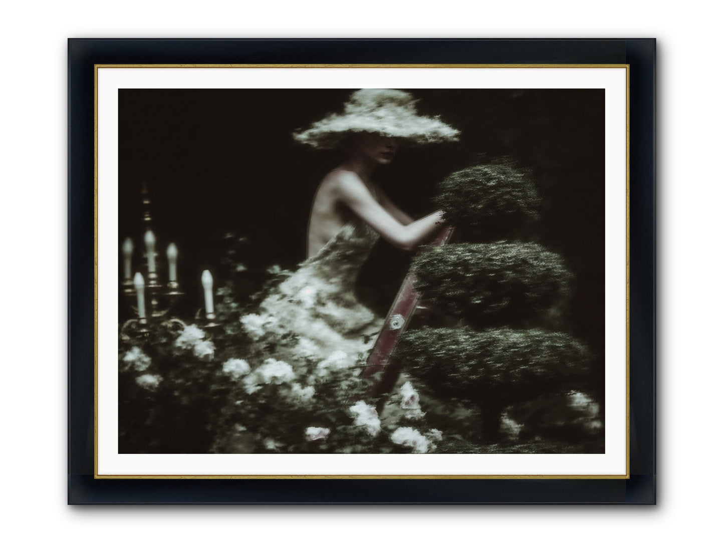 Garden Architecture Framed Print - Wide Black w/Gold 48x36
