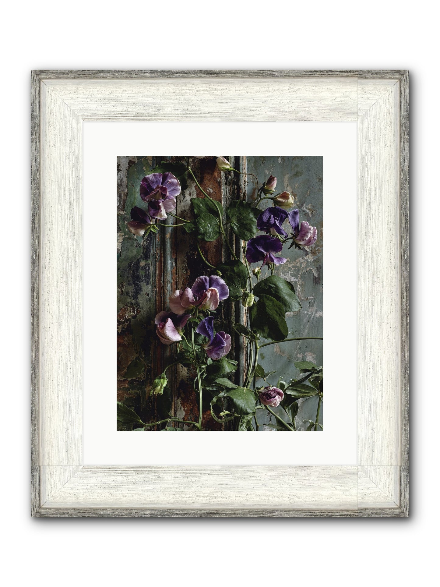 Garden Orphans Framed Print - Driftwood White 12x16