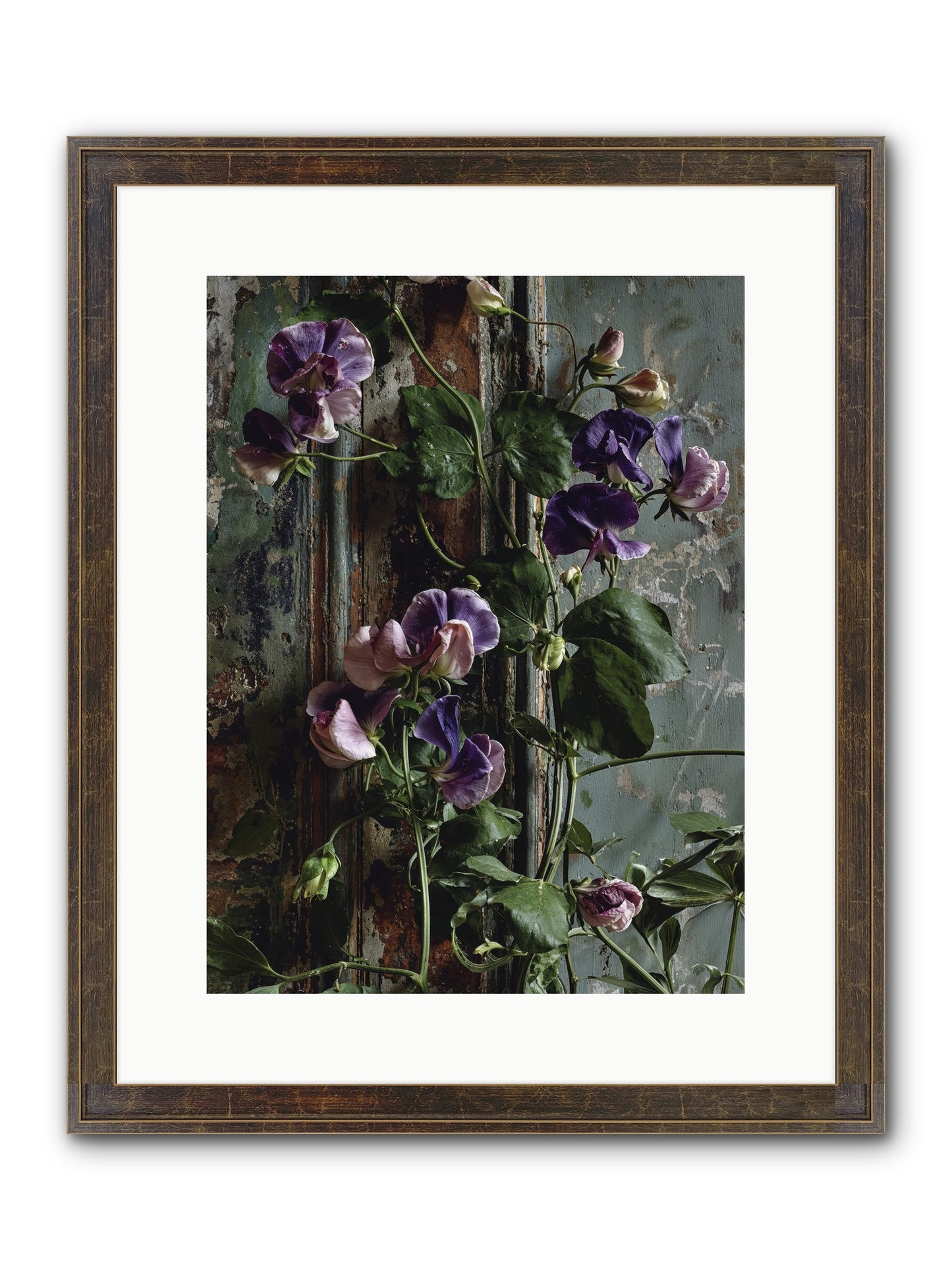 Garden Orphans Framed Print - Slimwoods Black/Gold 12x16