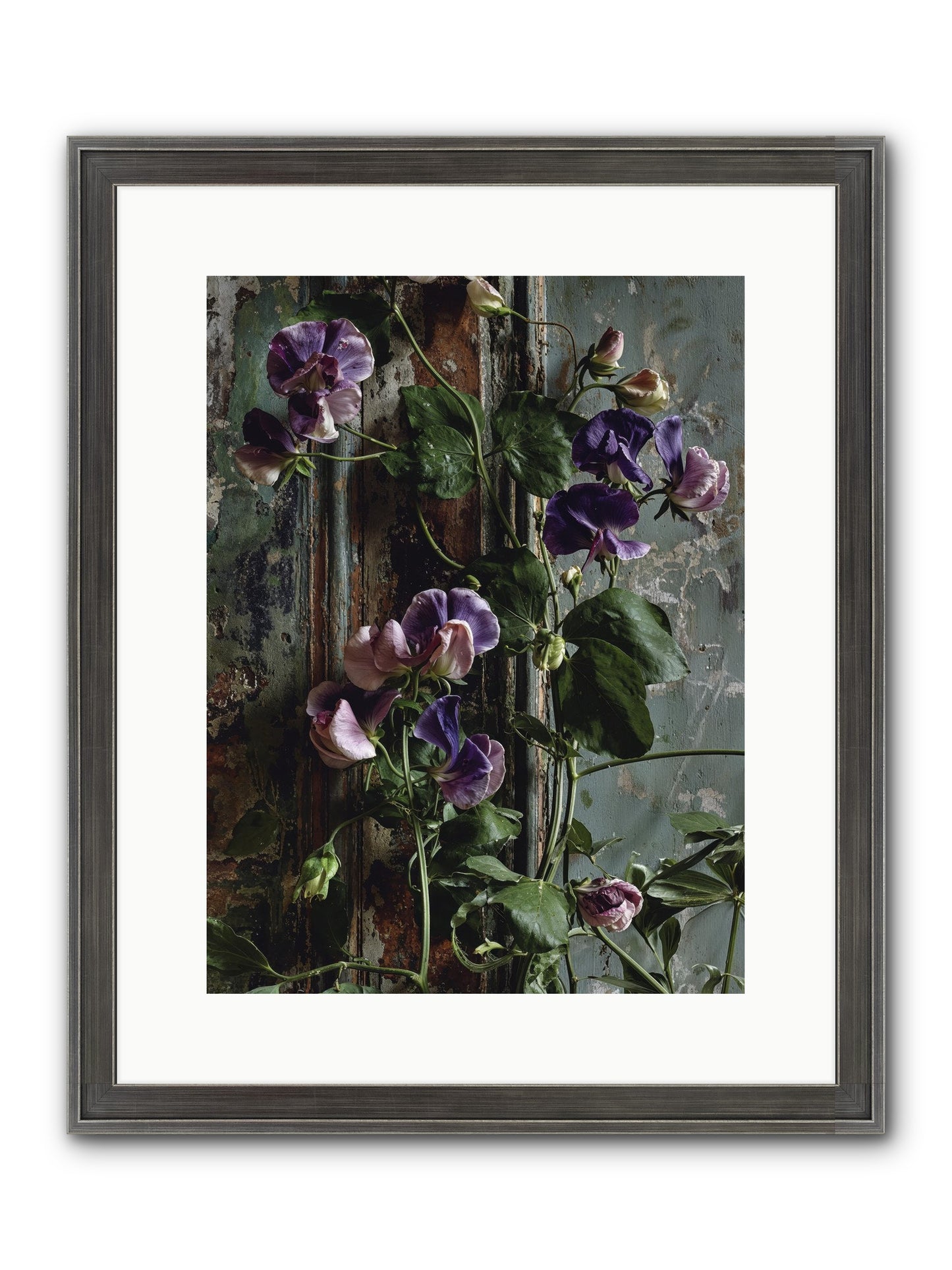 Garden Orphans Framed Print - Slimwoods Black/Silver 12x16