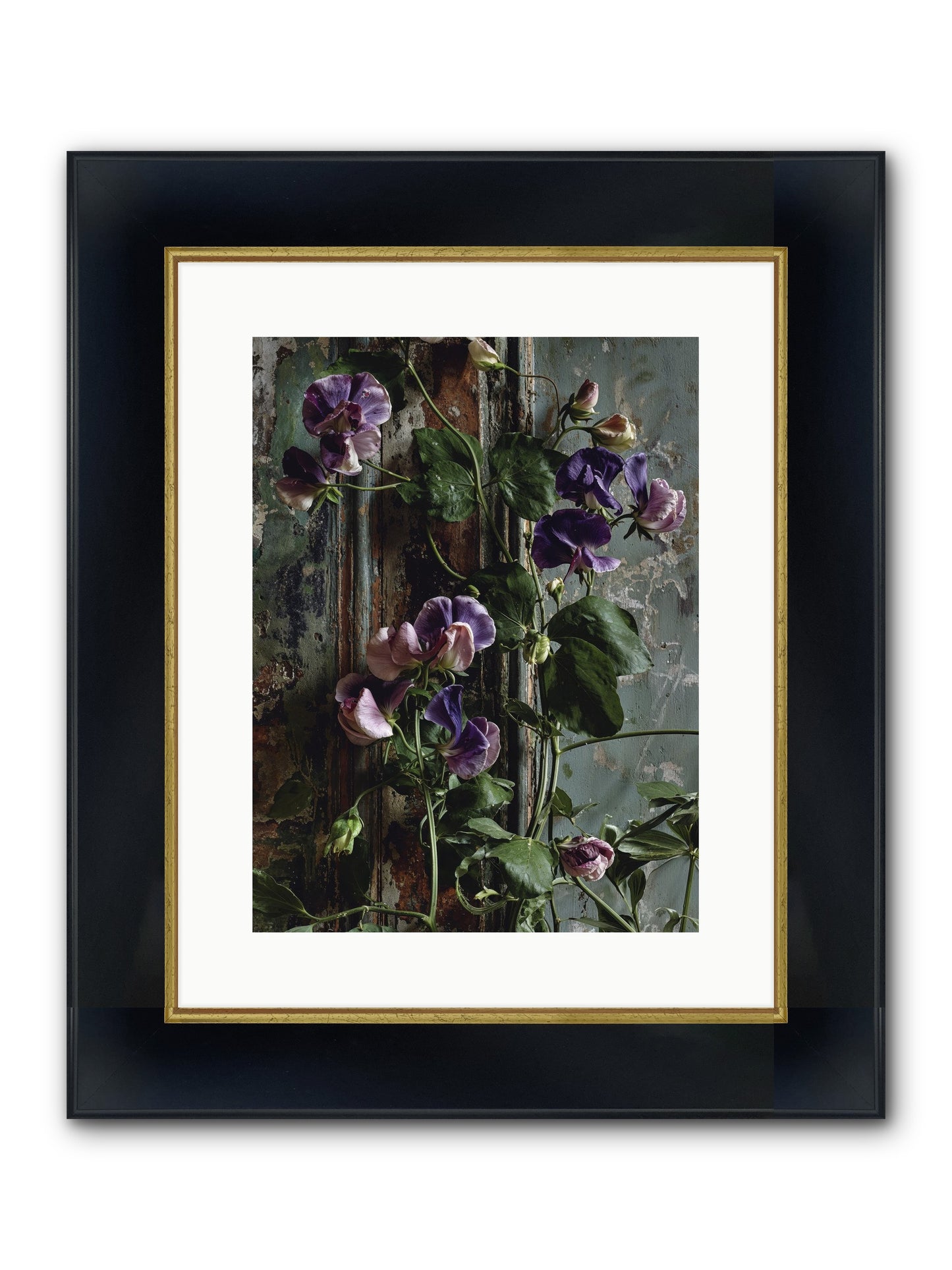 Garden Orphans Framed Print - Wide Black w/Gold 12x16