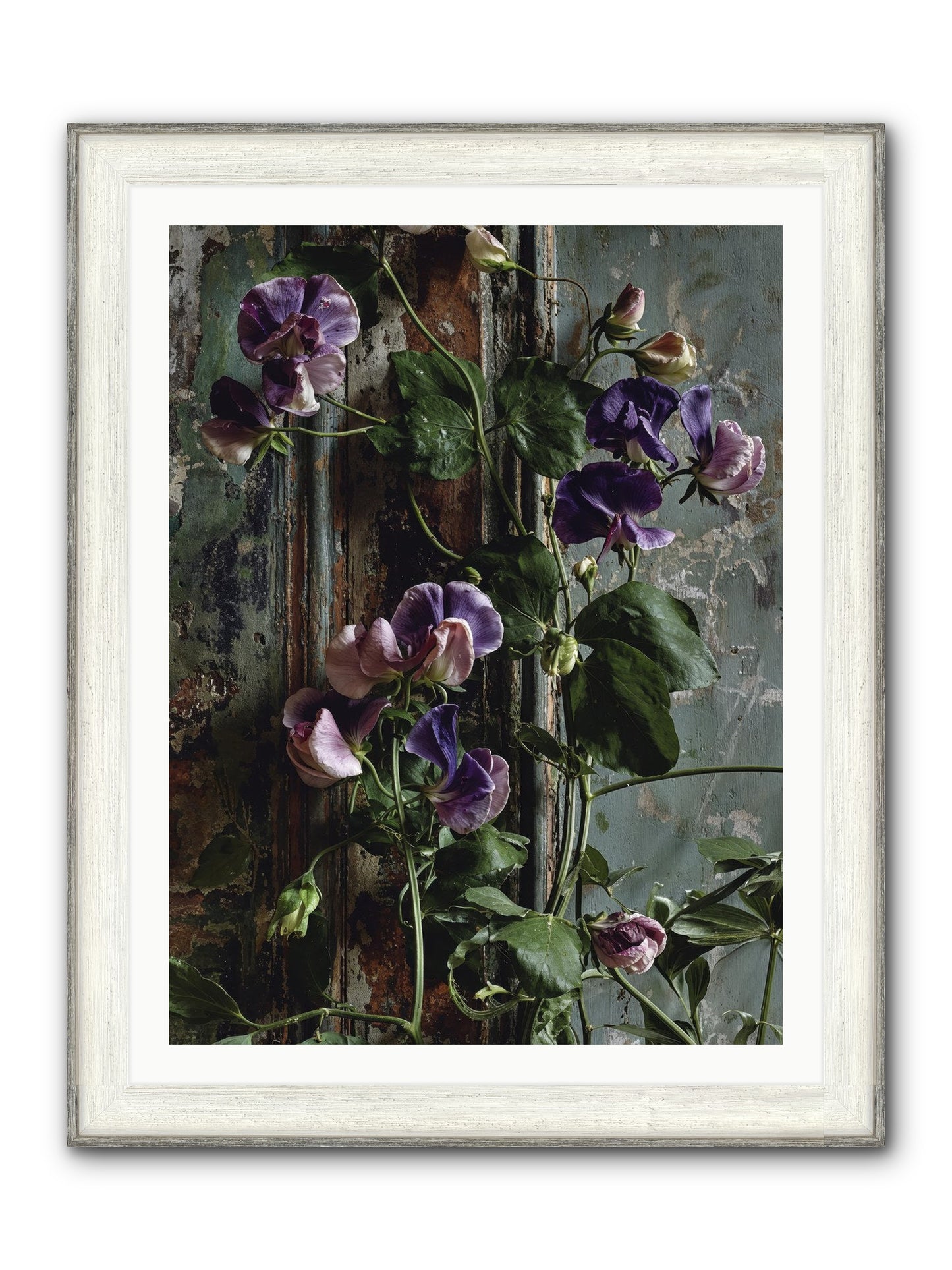 Garden Orphans Framed Print - Driftwood White 30x40