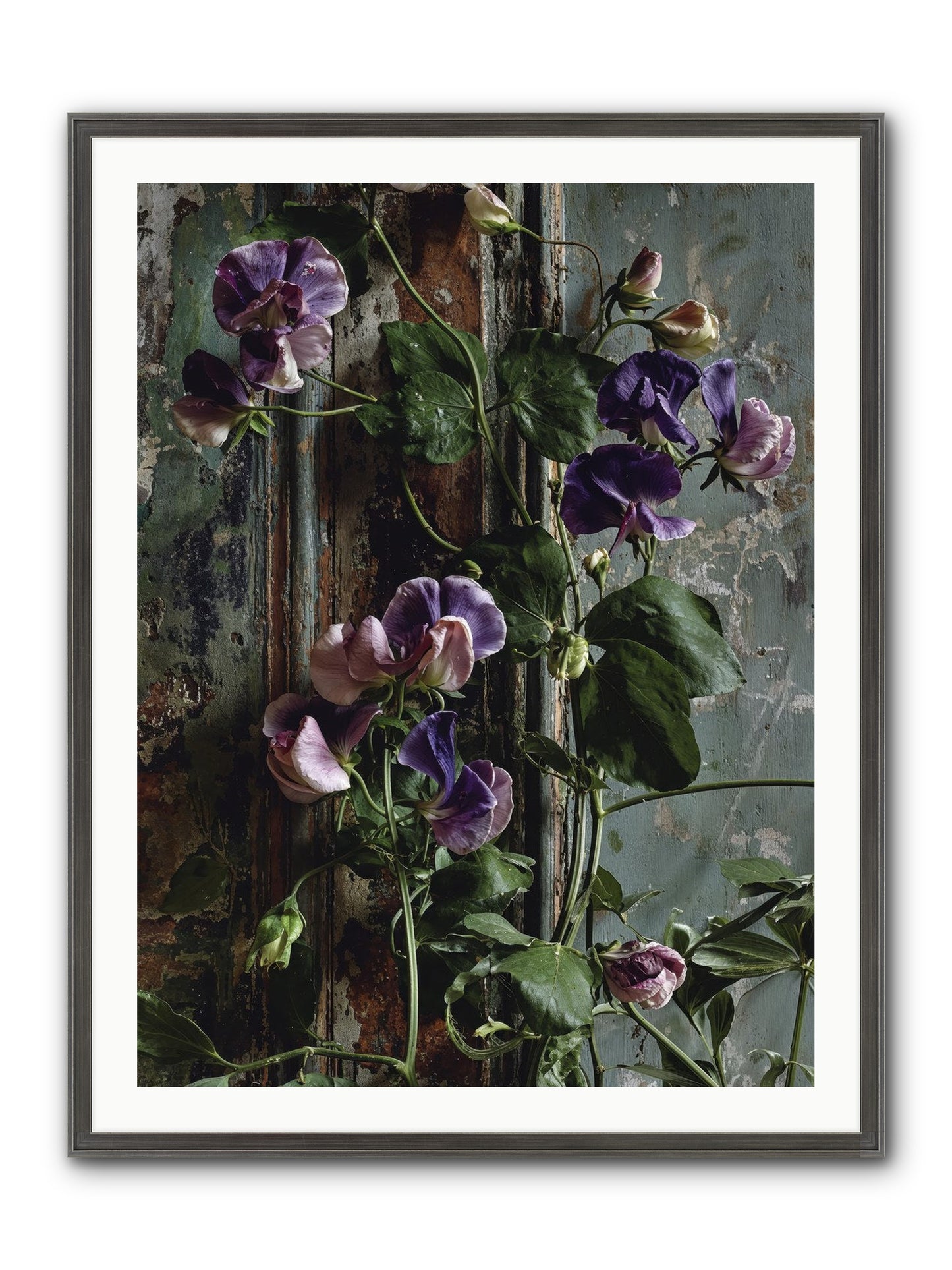 Garden Orphans Framed Print - Slimwoods Black/Silver 30x40