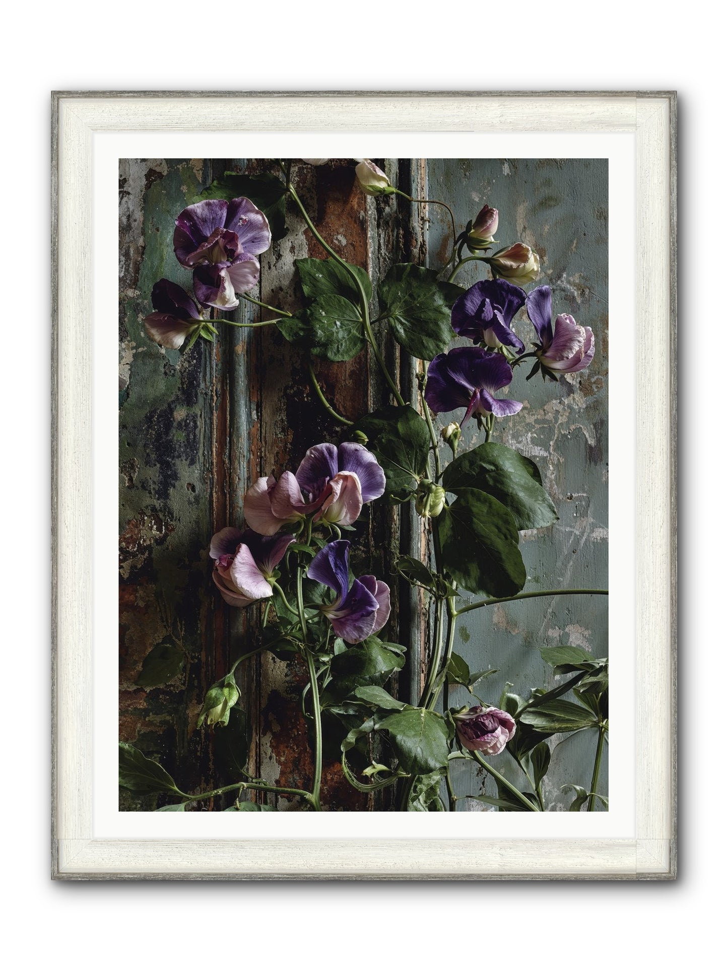 Garden Orphans Framed Print - Driftwood White 36x48
