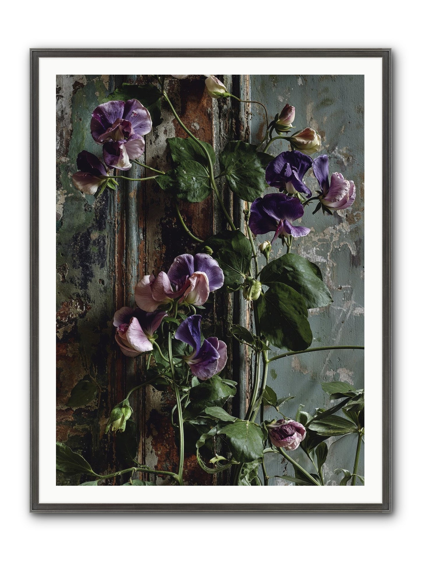 Garden Orphans Framed Print - Slimwoods Black/Silver 36x48