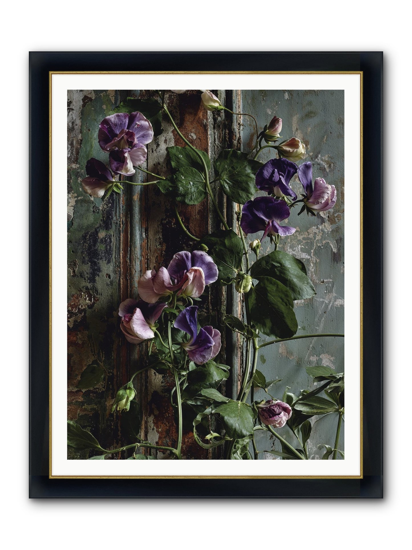 Garden Orphans Framed Print - Wide Black w/Gold 36x48