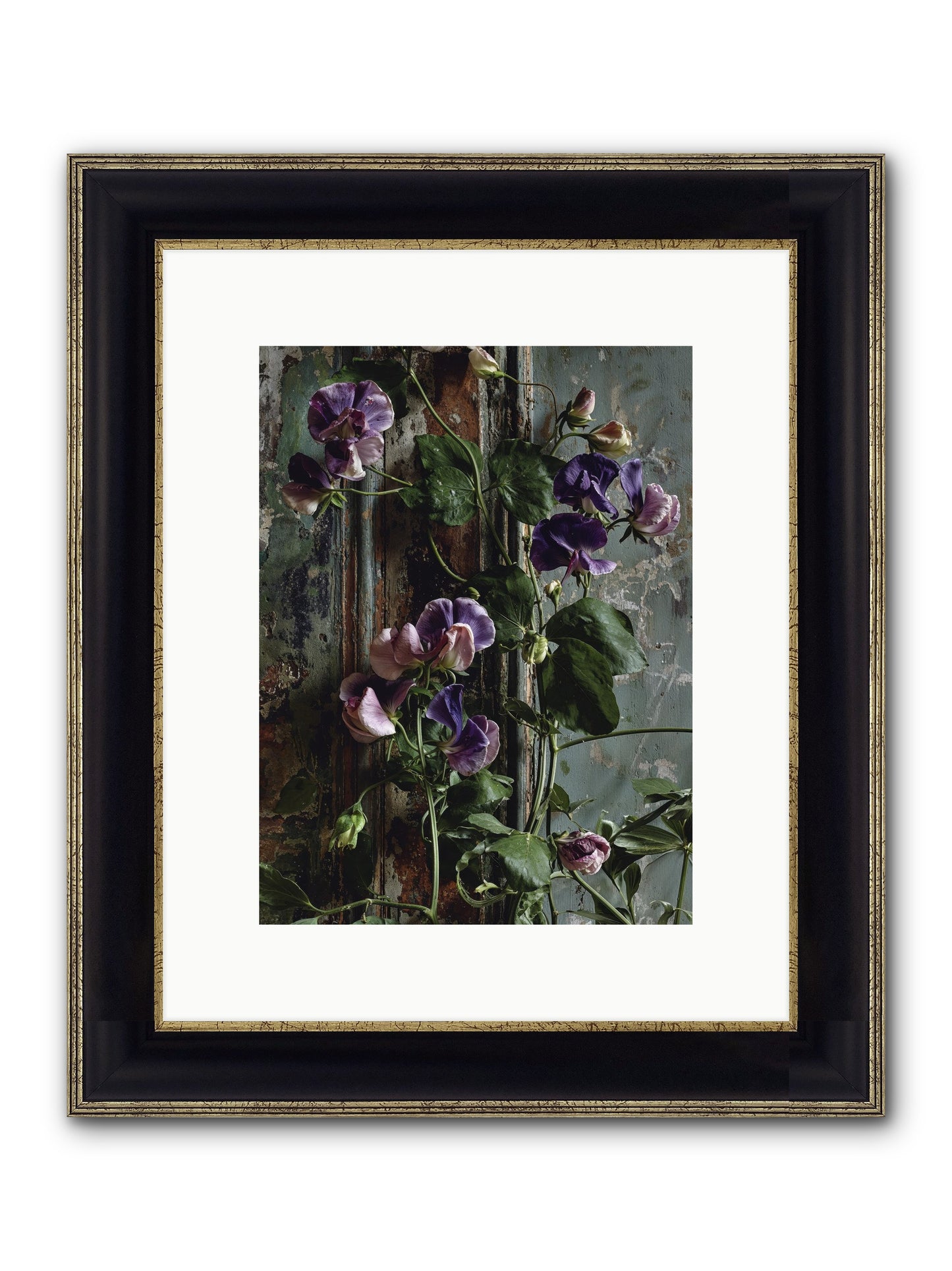 Garden Orphans Framed Print - Black & Gold 9x12