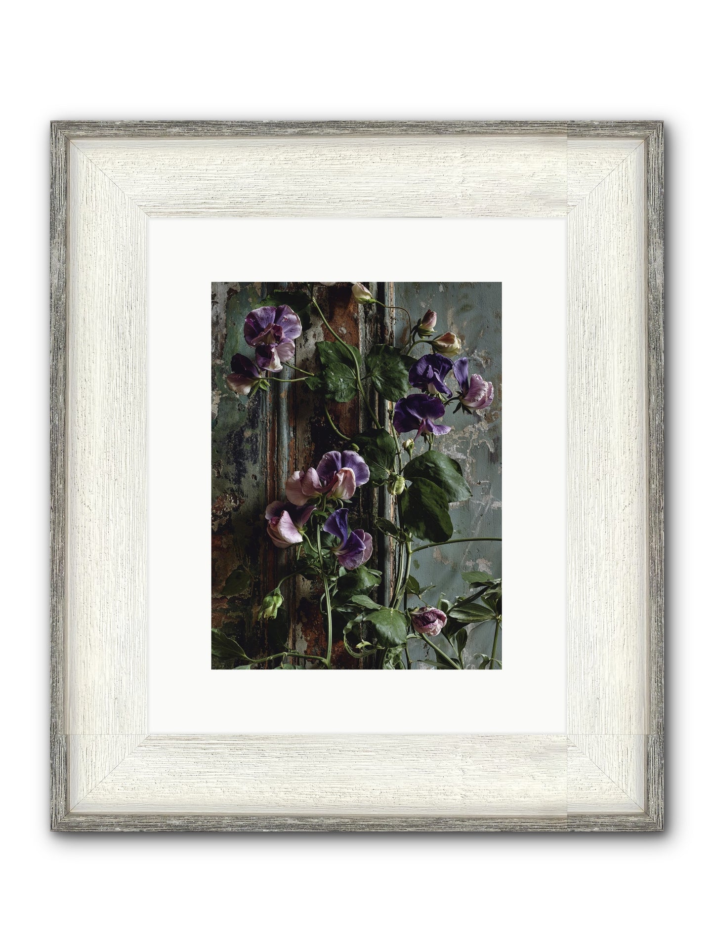 Garden Orphans Framed Print - Driftwood White 9x12