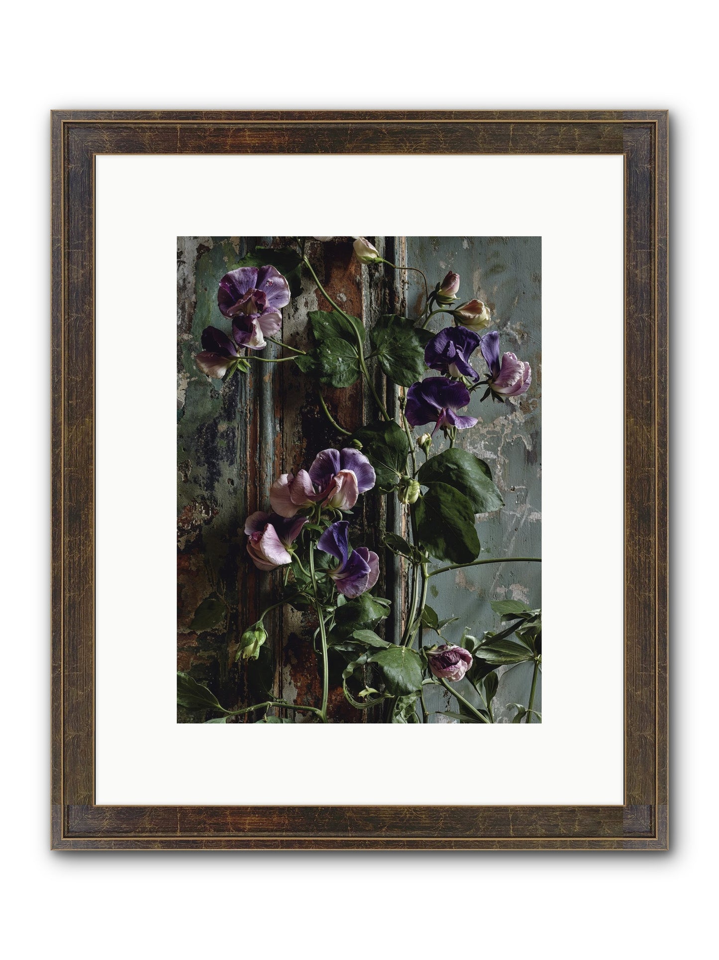 Garden Orphans Framed Print - Slimwoods Black/Gold 9x12