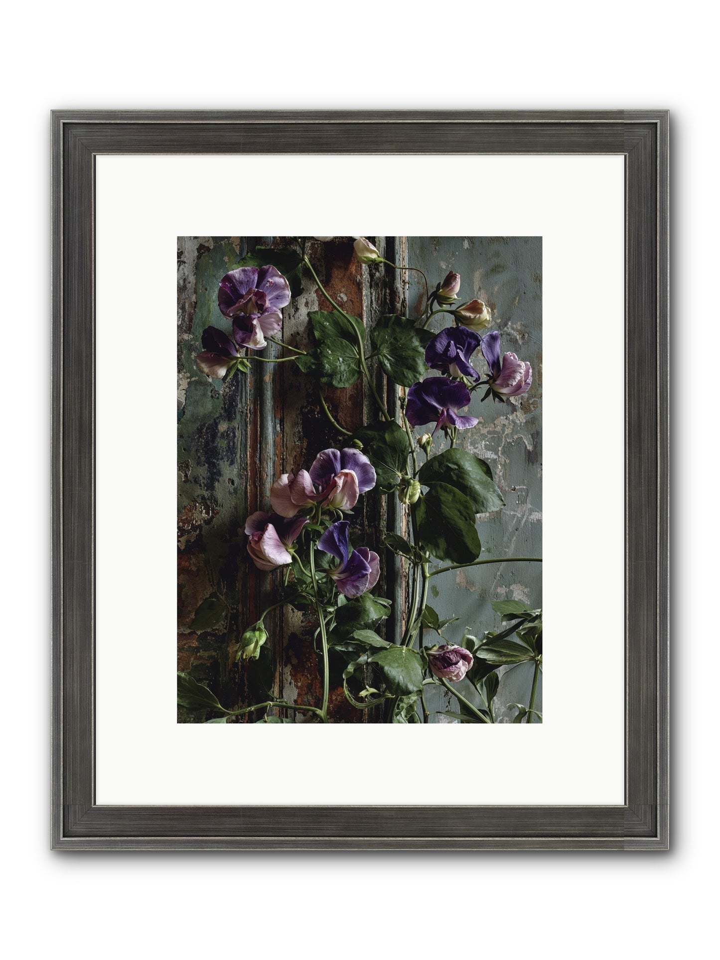 Garden Orphans Framed Print - Slimwoods Black/Silver 9x12