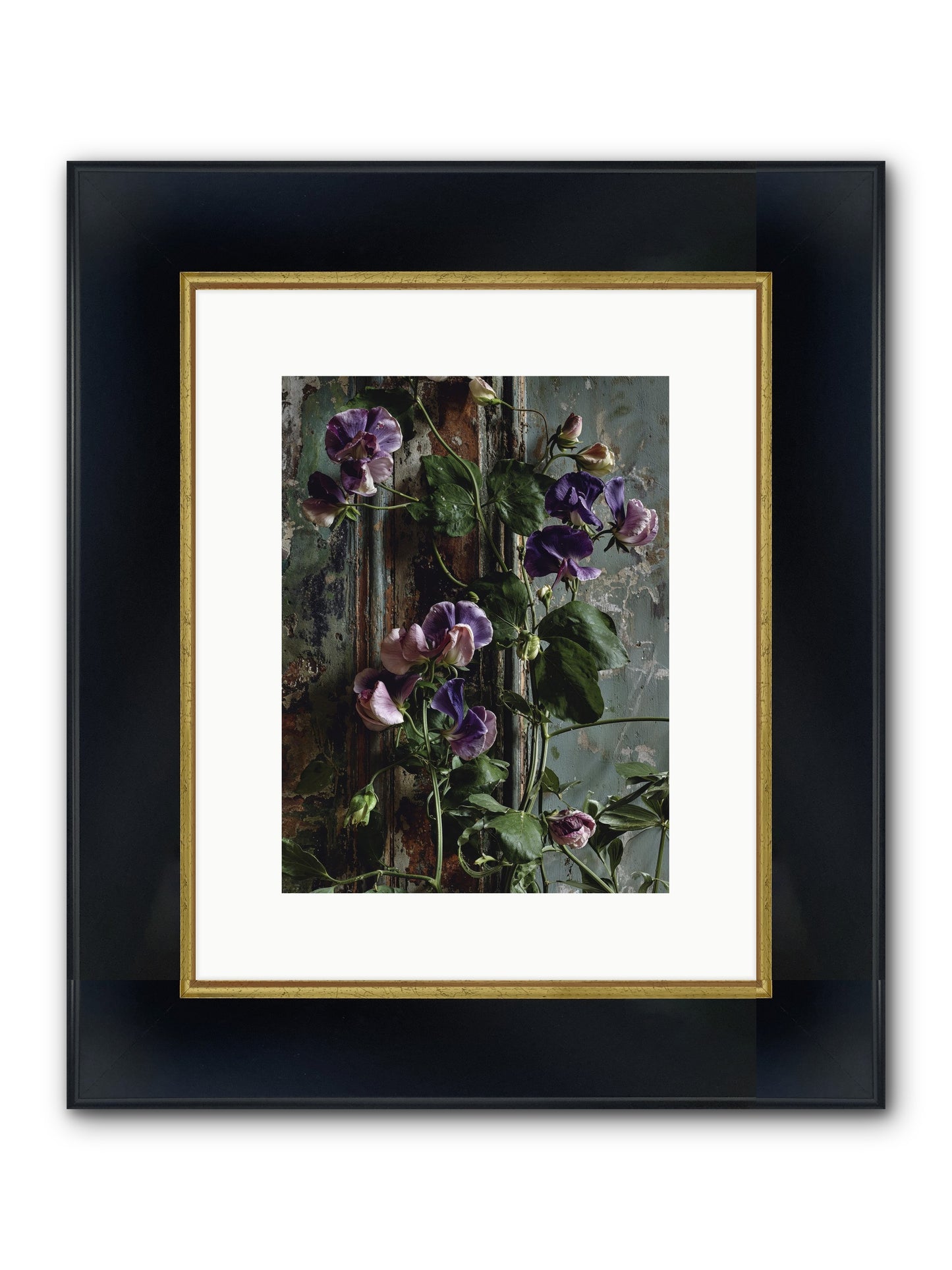 Garden Orphans Framed Print - Wide Black w/Gold 9x12
