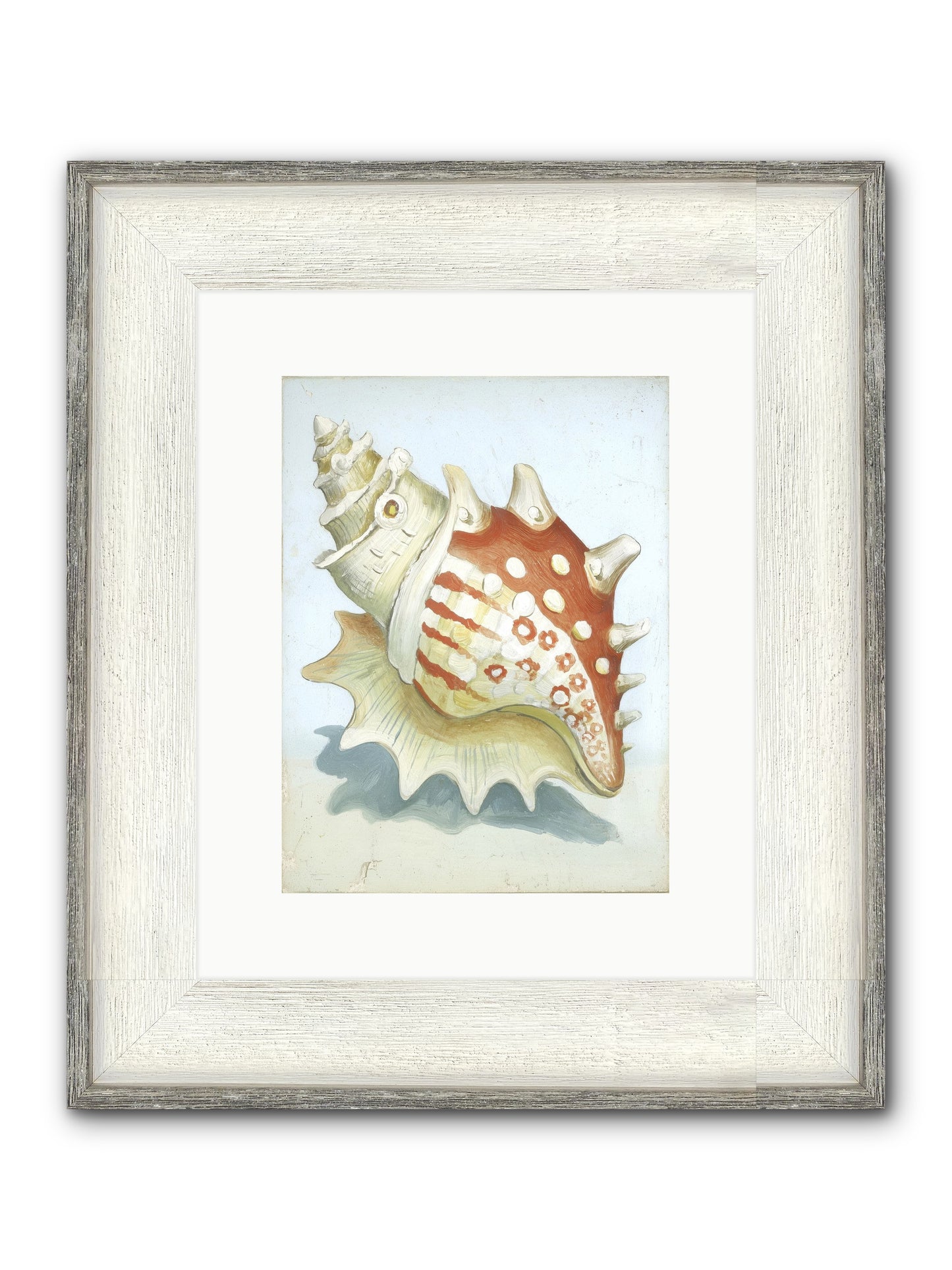 History's Voice Framed Print - Driftwood White 9x12