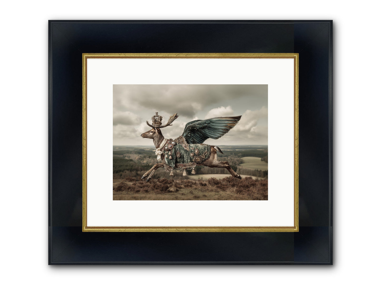 Hollow Field Framed Print - Wide Black w/Gold 12x9