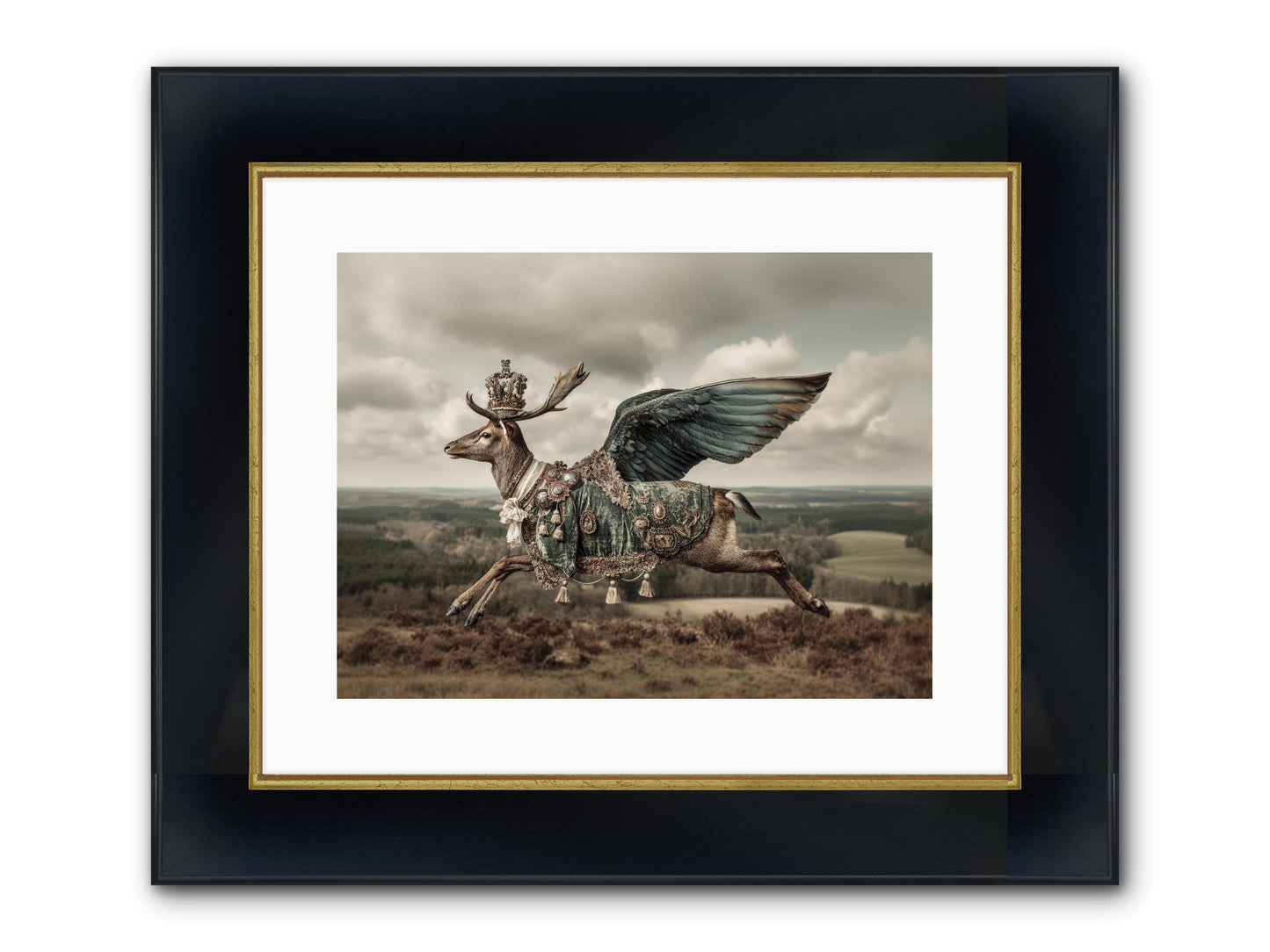 Hollow Field Framed Print - Wide Black w/Gold 16x12