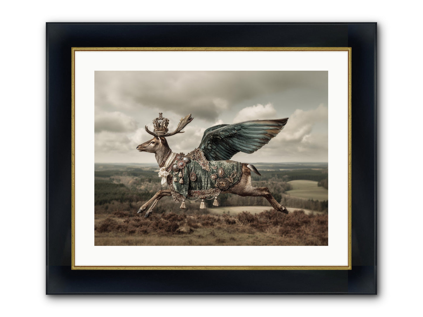 Hollow Field Framed Print - Wide Black w/Gold 24x18