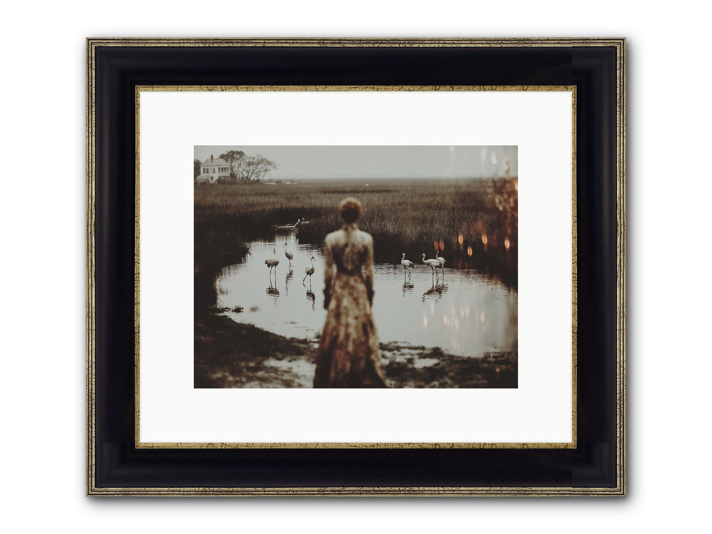 Instructions for Flight Framed Print - Black & Gold 12x9